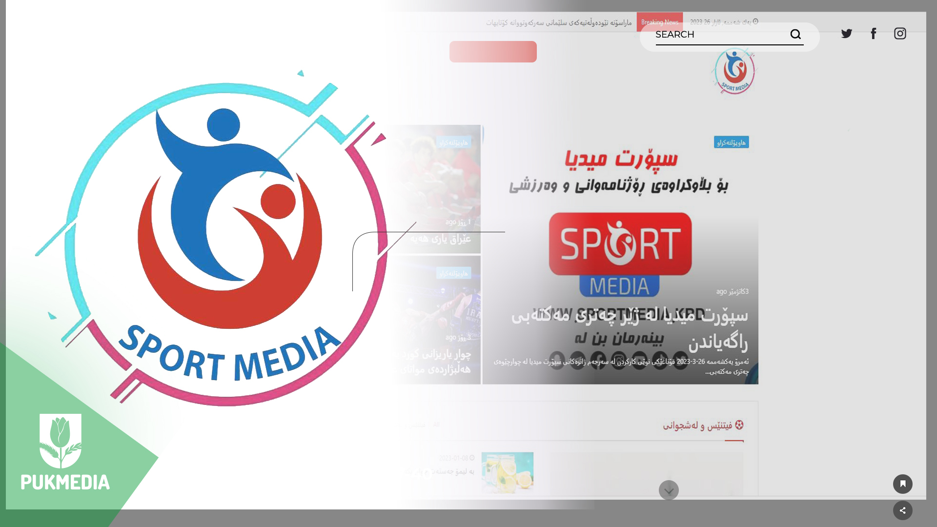Logoy Sport Medya 